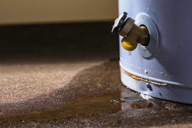 Best Carpet water damage restoration  in Fort Deposit, AL