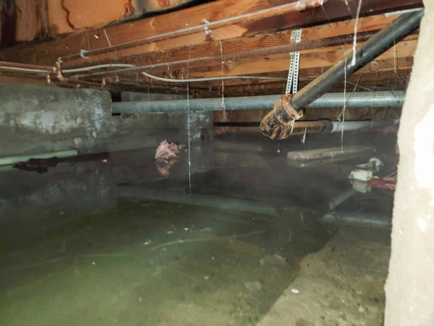 Best Emergency water damage restoration  in Fort Deposit, AL