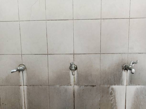 Best Water damage contractors near me  in Fort Deposit, AL