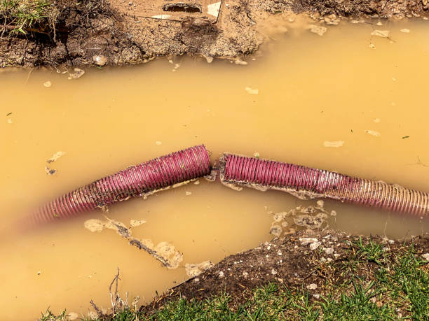 Sewage cleanup and water damage restoration in Fort Deposit, AL