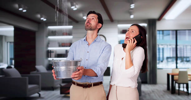 Best Water damage restoration near me  in Fort Deposit, AL